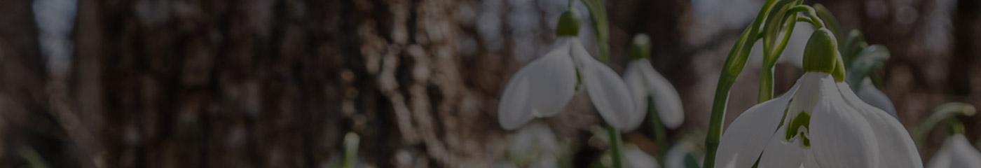 In Season: Spring